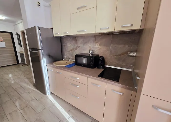 Large Family Cu Piscina Calda Sauna Jacuzzy * Navodari