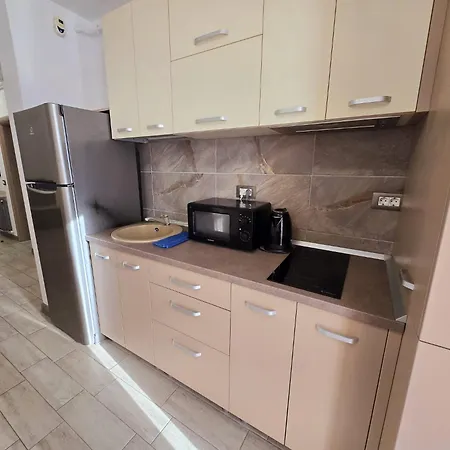 Large Family Cu Piscina Calda Sauna Jacuzzy * Năvodari